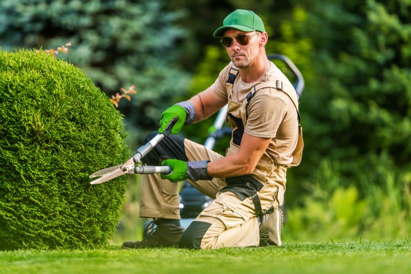 Hedge Removal Service