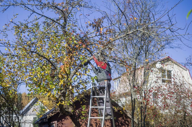 Landscape Pruning Service