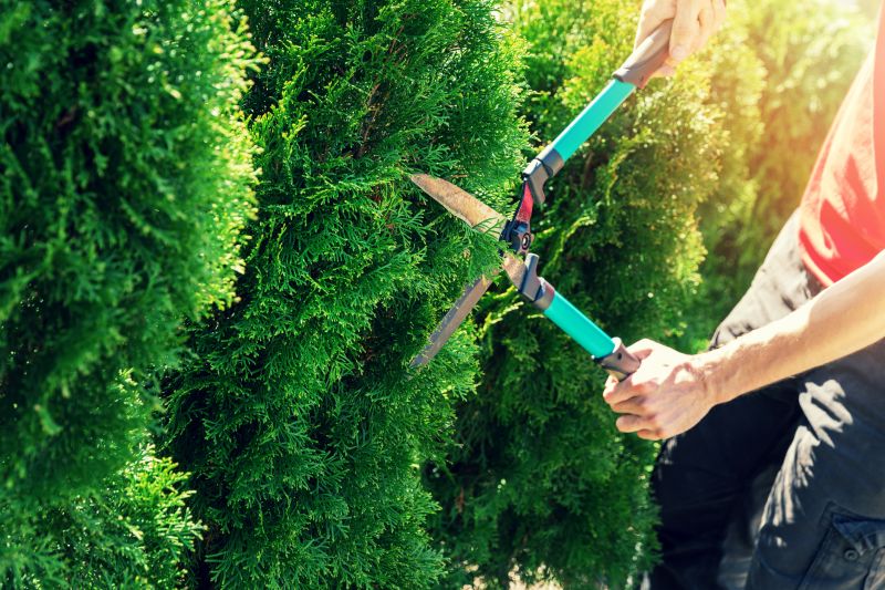 Pruning Tools and Techniques