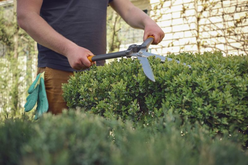 Evergreen Pruning