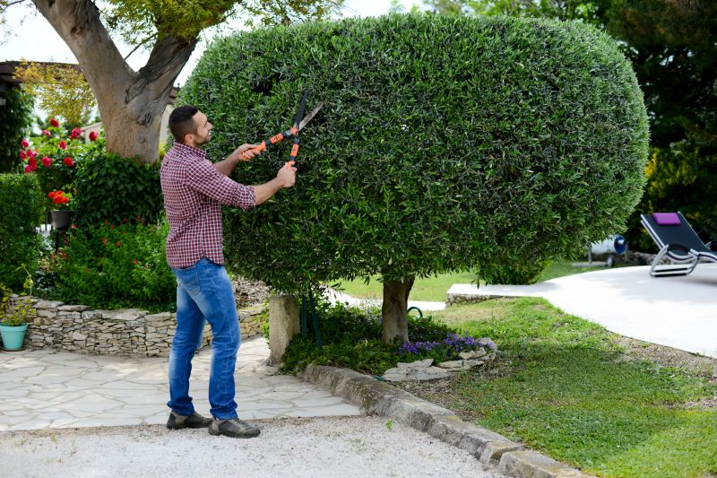 Professional Shrub Trimming