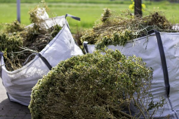 Cost of Shrubs Removal in Columbia